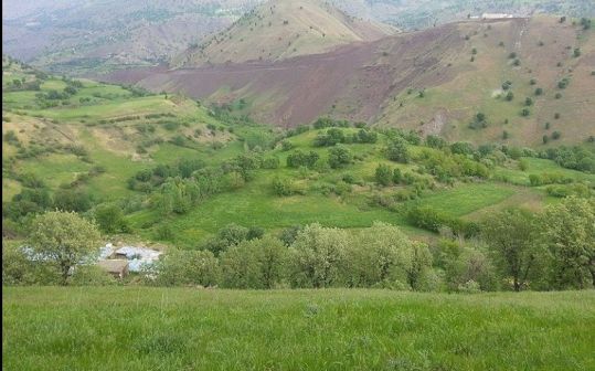 گوندی ئاوەزێ